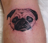 Pug Dog-Portrait-Tattoo