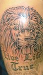 Lion-Live-Life-True-Tattoo