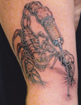 Scorpion-Needle-Tattoo