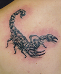 Scorpion-Shoulder-Shaded-Tattoo