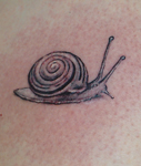 Snail-Shaded-Tattoo