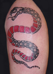 Snake-Black-and-Red-Arm-Tattoo