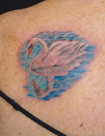 Swan-Swimming-Shoulder-Tattoo