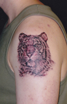 Tiger-arm-Tattoo